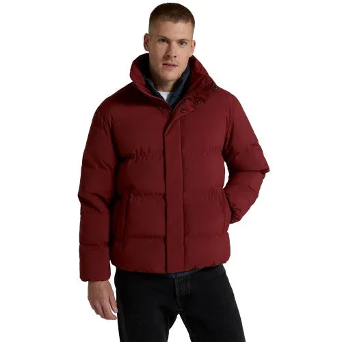 Animal Mens Nimbus Padded Jacket